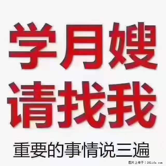 为什么要学习月嫂，育婴师？ - 其他广告 - 广告专区 - 白城分类信息 - 白城28生活网 bc.28life.net