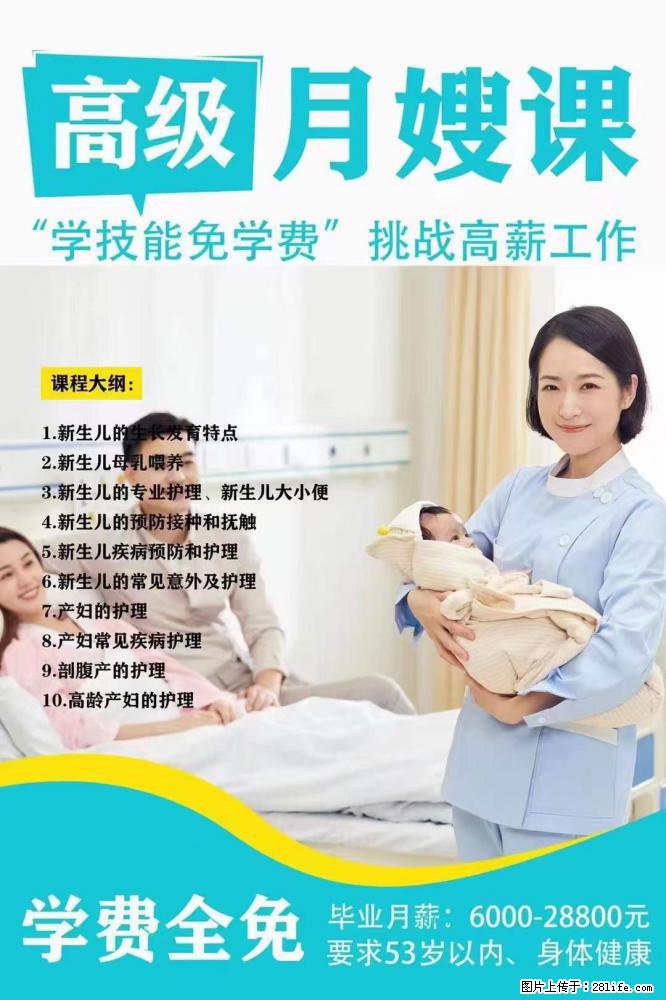 为什么要学习月嫂，育婴师？ - 其他广告 - 广告专区 - 白城分类信息 - 白城28生活网 bc.28life.net
