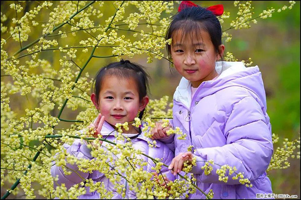 【春天，广西桂林灌阳县向您发出邀请！】米珠山前有片山苍子花在飘香 - 游山玩水 - 白城生活社区 - 白城28生活网 bc.28life.net