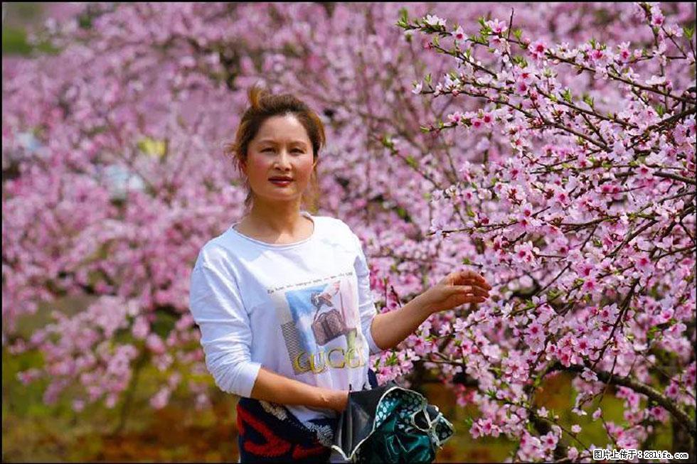 【春天，广西桂林灌阳县向您发出邀请！】官庄村有个醉美的桃花园 - 游山玩水 - 白城生活社区 - 白城28生活网 bc.28life.net