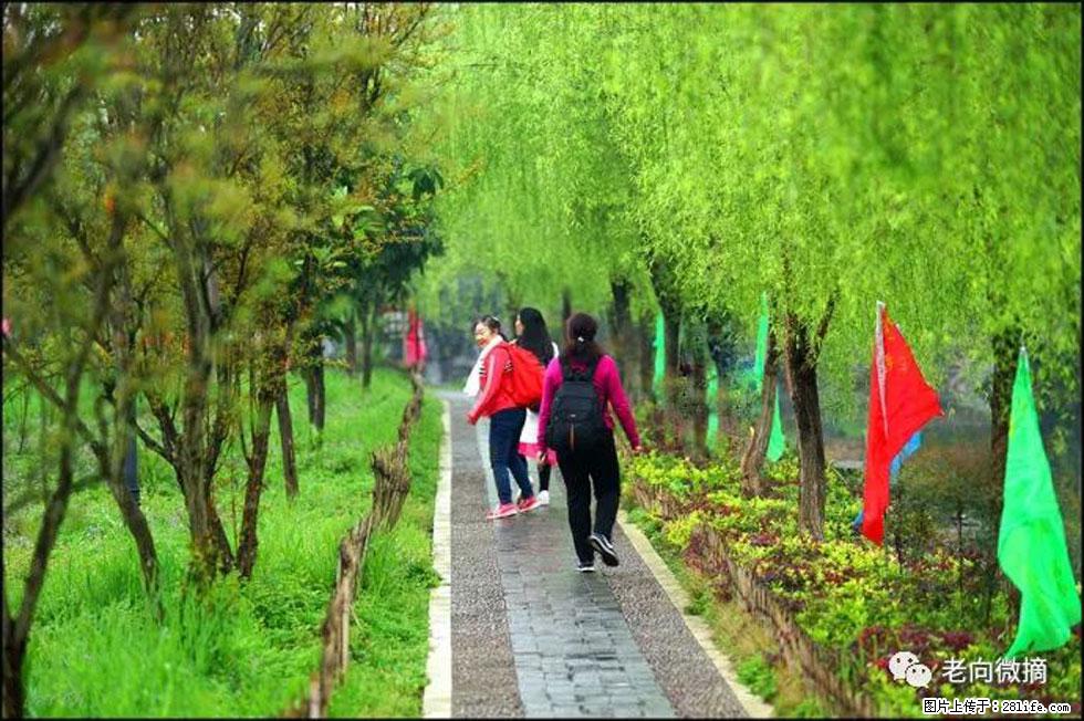 【春天，广西桂林灌阳县向您发出邀请！】江口老街又逢春 - 游山玩水 - 白城生活社区 - 白城28生活网 bc.28life.net