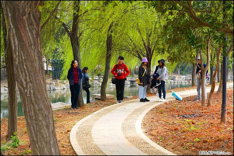 【春天，广西桂林灌阳县向您发出邀请！】江口老街又逢春 - 游山玩水 - 白城生活社区 - 白城28生活网 bc.28life.net