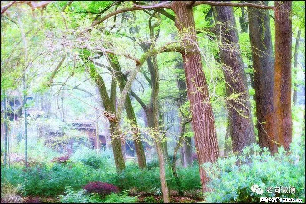 【春天，广西桂林灌阳县向您发出邀请！】在小龙村与春天约会 - 游山玩水 - 白城生活社区 - 白城28生活网 bc.28life.net