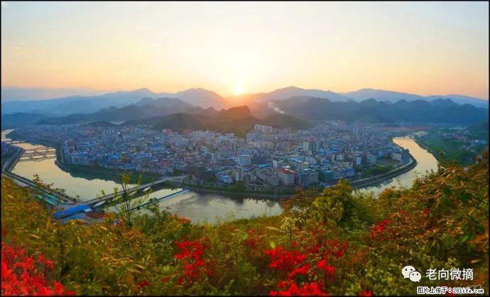【春天，广西桂林灌阳县向您发出邀请！】登麒麟山，相约映山红 - 游山玩水 - 白城生活社区 - 白城28生活网 bc.28life.net