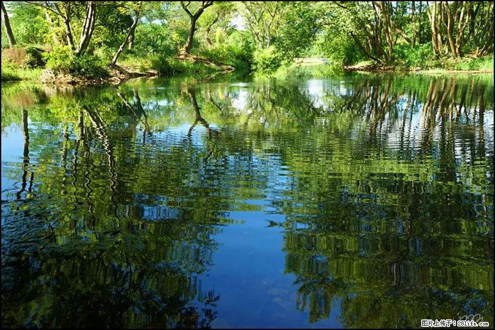 【春天，广西桂林灌阳县向您发出邀请！】熊家寨湿地公园 - 游山玩水 - 白城生活社区 - 白城28生活网 bc.28life.net