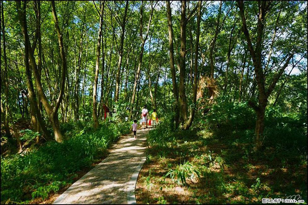 【春天，广西桂林灌阳县向您发出邀请！】熊家寨湿地公园 - 游山玩水 - 白城生活社区 - 白城28生活网 bc.28life.net