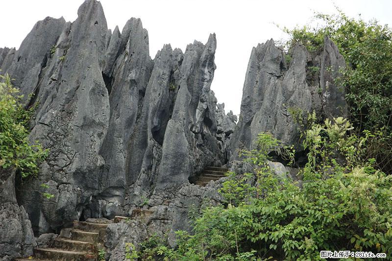 桂林旅游名城景点：灌阳文市石林 - 游山玩水 - 白城生活社区 - 白城28生活网 bc.28life.net