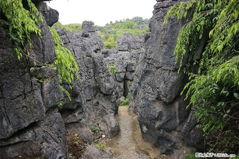 桂林旅游名城景点：灌阳文市石林 - 游山玩水 - 白城生活社区 - 白城28生活网 bc.28life.net