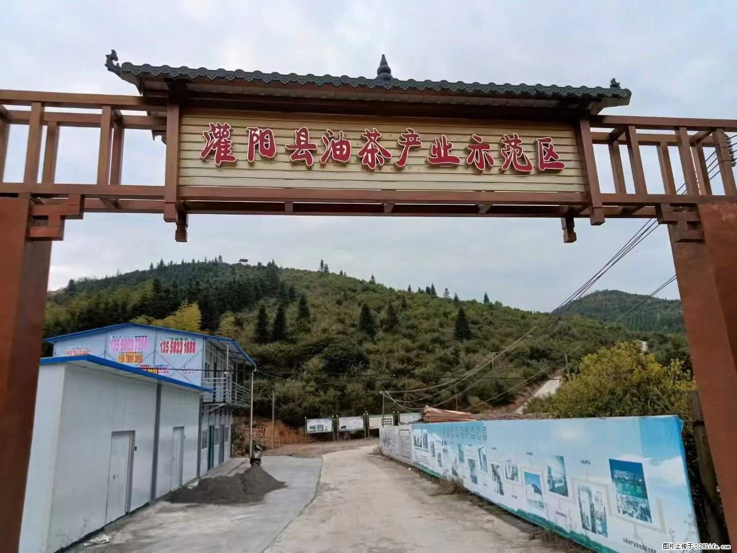 【灌阳县油茶产业示范区】一个有着充实的精神生活的人，对待身外之物自会有一种淡泊的态度 - 美食天地 - 白城生活社区 - 白城28生活网 bc.28life.net
