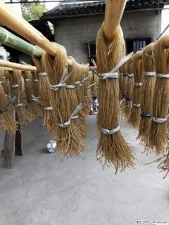 【灌阳正宗红薯粉】美女家里自己做的，干净卫生，假一赔十，价格合理，抢购电话：13737312895 - 白城28生活网 bc.28life.net