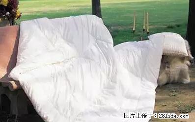 被子有异味？只要这样做，比晒太阳还强100倍！ - 家居生活 - 白城生活社区 - 白城28生活网 bc.28life.net