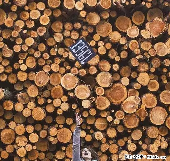 辞掉工作周游世界？现在他们在洗厕所…… - 游山玩水 - 白城生活社区 - 白城28生活网 bc.28life.net