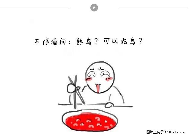 千万不要和这9种哈卵一起吃火锅！ - 美食天地 - 白城生活社区 - 白城28生活网 bc.28life.net