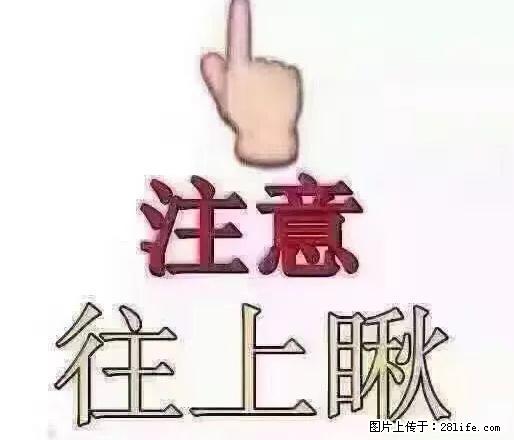 市政府对面3楼出租65平年租金1.2万拎包入住 - 房屋出租 - 房屋租售 - 白城分类信息 - 白城28生活网 bc.28life.net