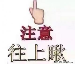 市政府对面3楼出租65平年租金1.2万拎包入住 - 白城28生活网 bc.28life.net