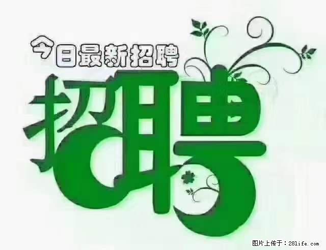 【招聘摄像师】待遇：试用期6000元/月，转正7000元/月+五险一金+餐补+节日福利+奖金 - 职场交流 - 白城生活社区 - 白城28生活网 bc.28life.net