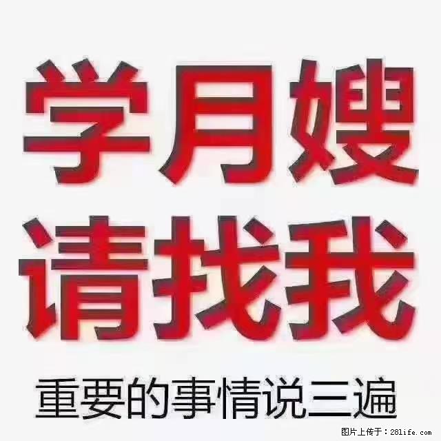 【招聘】月嫂，上海徐汇区 - 职场交流 - 白城生活社区 - 白城28生活网 bc.28life.net