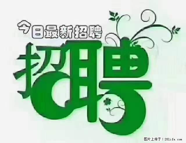 急聘！急聘！上海酒店长期前台，做六休一，每天8小时，6000块钱一月 - 职场交流 - 白城生活社区 - 白城28生活网 bc.28life.net