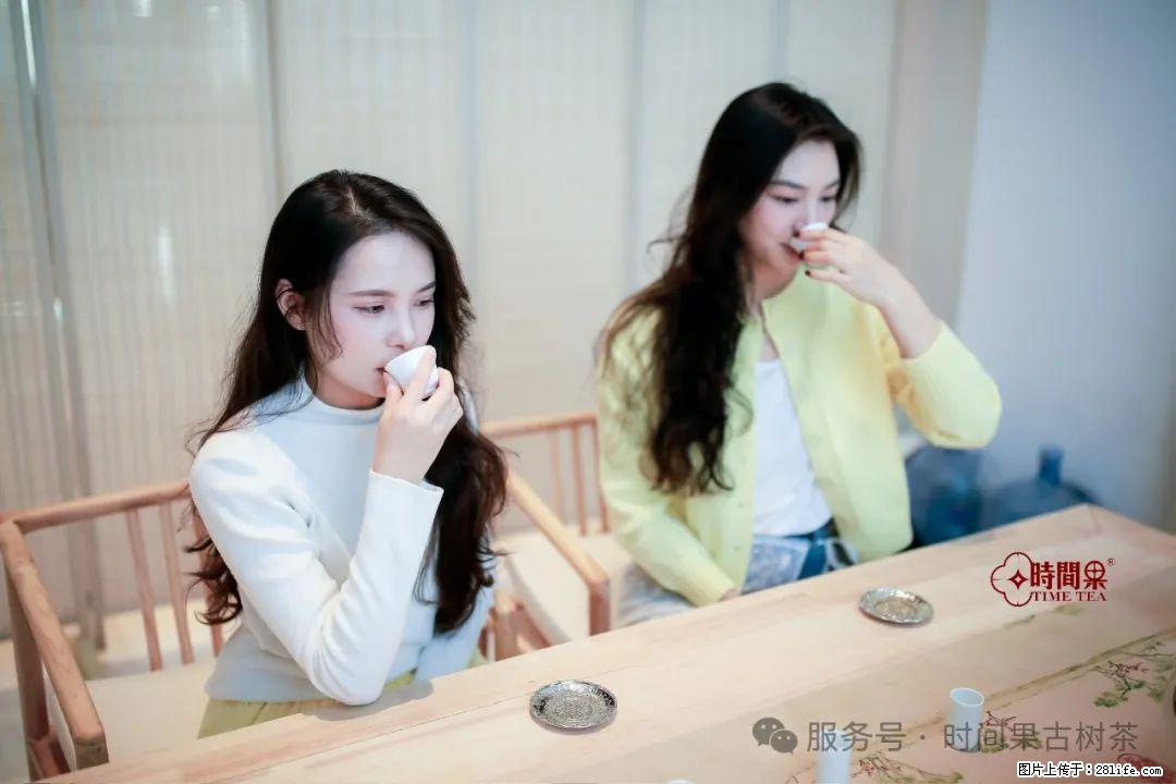 时间果百年古树龙珠普洱生茶 - 购物交流 - 白城生活社区 - 白城28生活网 bc.28life.net