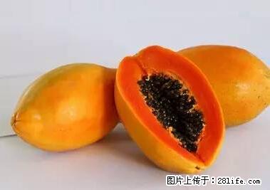晕车、脚气、牙齿变黄、皮肤粗糙？学会这些三分钟搞定！ - 白城生活资讯 - 白城28生活网 bc.28life.net