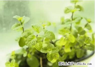 晕车、脚气、牙齿变黄、皮肤粗糙？学会这些三分钟搞定！ - 白城生活资讯 - 白城28生活网 bc.28life.net