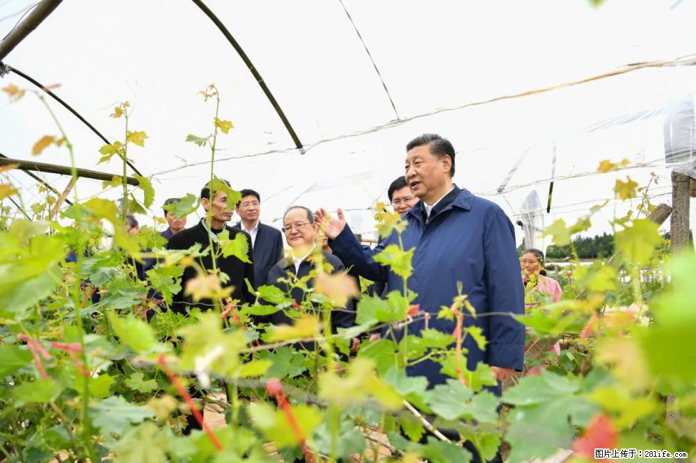 习近平赴广西考察调研 - 白城生活资讯 - 白城28生活网 bc.28life.net