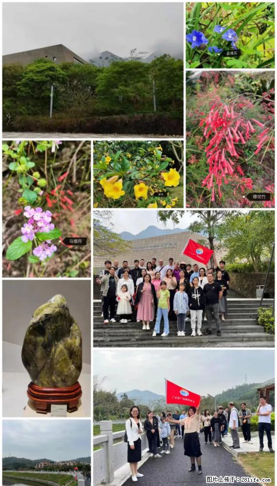 “粤灌文化 美好生活”油茶文化主题活动在广东深圳成功举办 - 白城生活资讯 - 白城28生活网 bc.28life.net