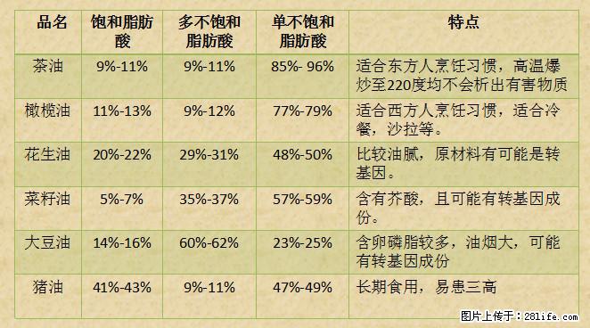 揭秘茶油的5大核心营养成分！被称为人体健康的“守护盾”！ - 白城生活资讯 - 白城28生活网 bc.28life.net