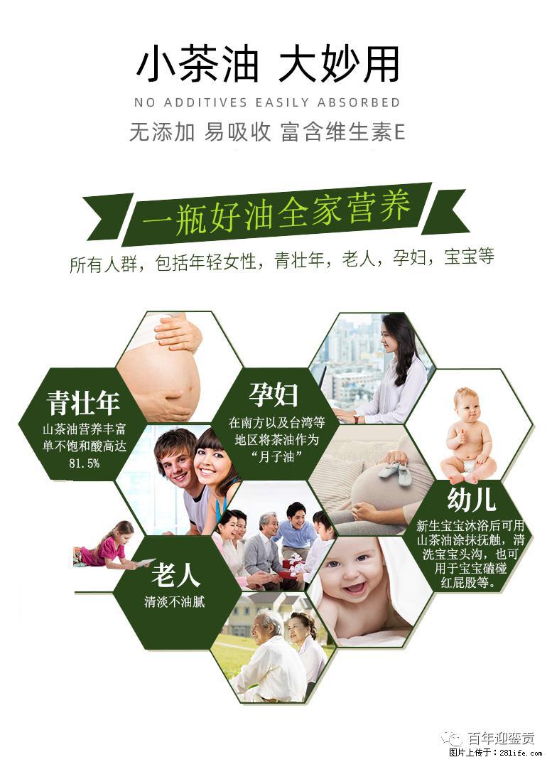 世界没有真相，只有认知，最好的食用油是中国的山茶油！ - 白城生活资讯 - 白城28生活网 bc.28life.net
