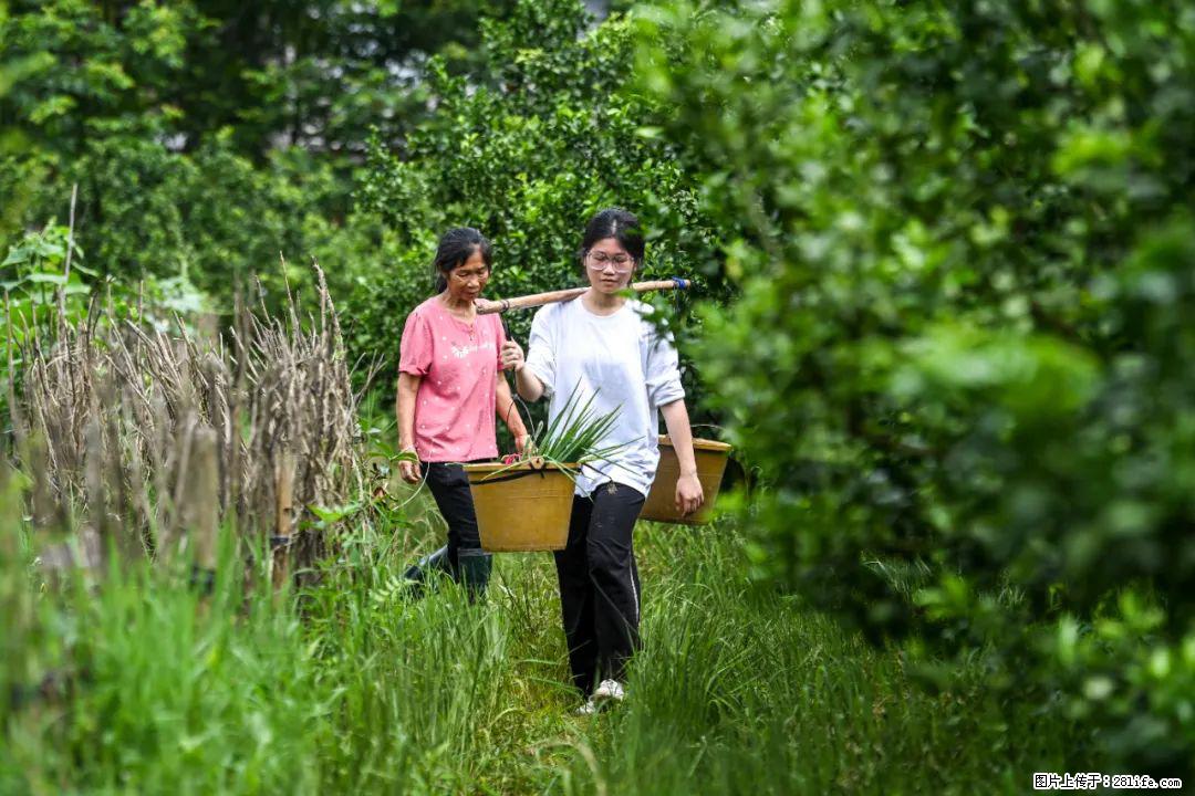 全网追的“扁担女孩”，找了一份暑假工，时薪12元 - 白城生活资讯 - 白城28生活网 bc.28life.net