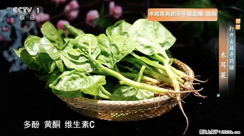 比牛奶补钙还厉害！凉血解毒、稳血糖...这菜冬天必吃，很多人却当草 - 白城生活资讯 - 白城28生活网 bc.28life.net