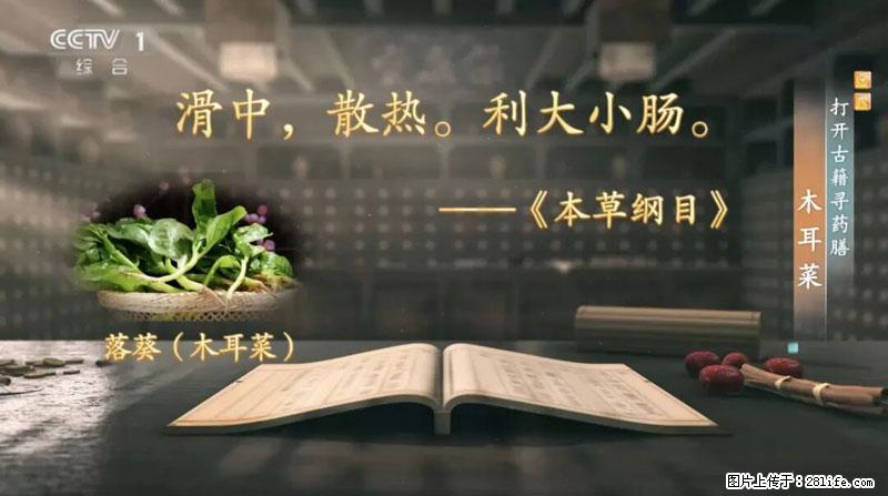 比牛奶补钙还厉害！凉血解毒、稳血糖...这菜冬天必吃，很多人却当草 - 白城生活资讯 - 白城28生活网 bc.28life.net