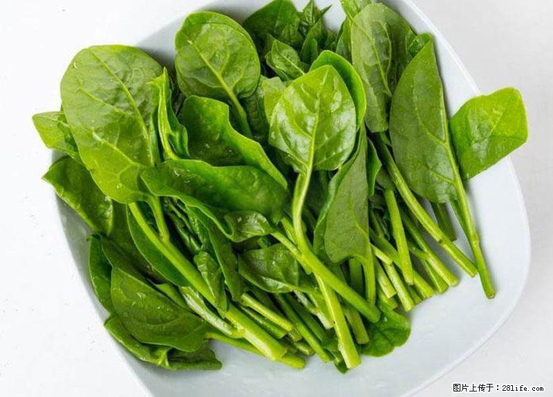 这些蔬菜是“天然钙片”，这6种被医生重点推荐 - 白城生活资讯 - 白城28生活网 bc.28life.net