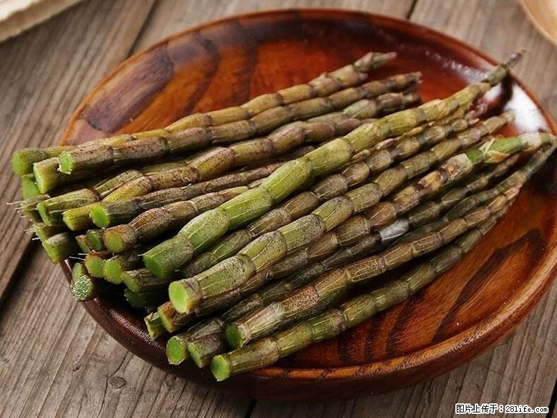 铁皮石斛的作用与功能主治 - 白城生活资讯 - 白城28生活网 bc.28life.net