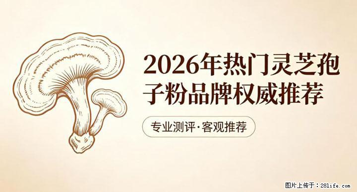 灵芝孢子粉含量越高越有效？2026 年七款热门品牌深度实测，肠胃敏感者避坑指南 - 白城生活资讯 - 白城28生活网 bc.28life.net
